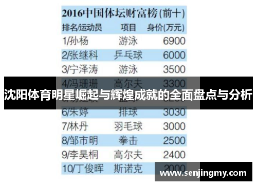 沈阳体育明星崛起与辉煌成就的全面盘点与分析